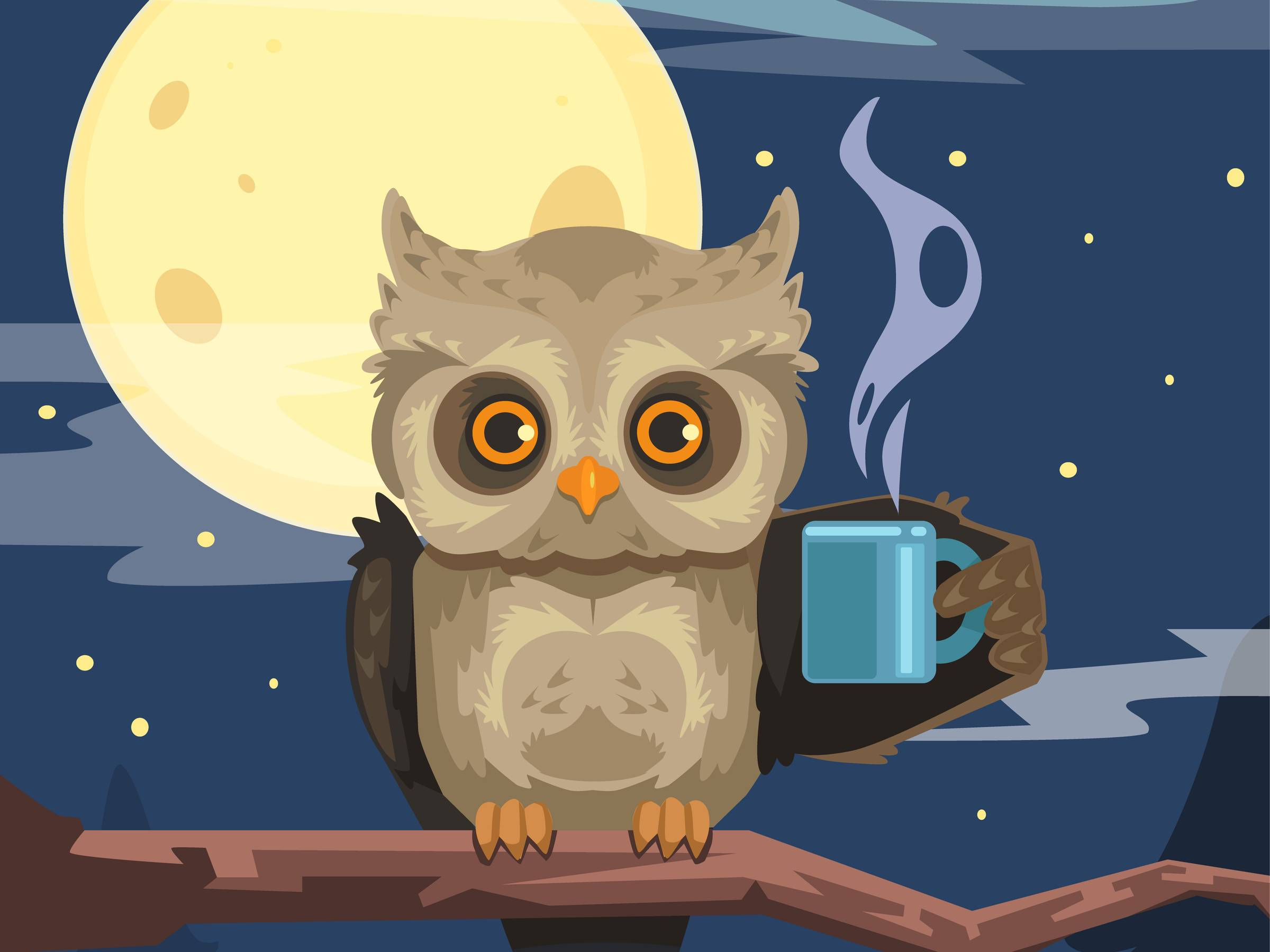 NightOwl2026 Reloaded